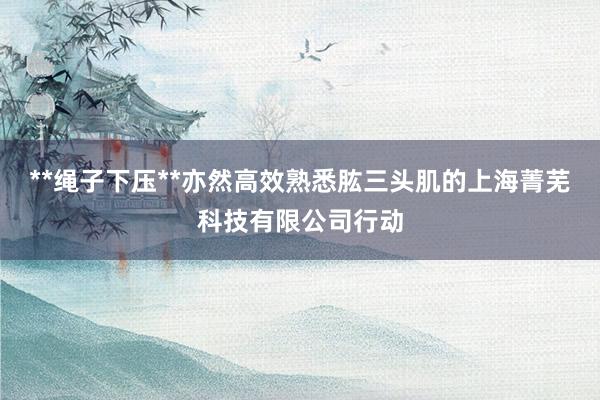**绳子下压**亦然高效熟悉肱三头肌的上海菁芜科技有限公司行动